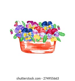 Viola in a flower pot. Watercolor vector illustration. Isolated design elements.