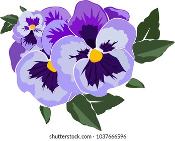 Viola Flower In Vector