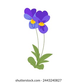 Flor viola  pansies