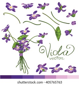 Viola flowers bouquet in vintage style. It can be used for wallpaper, web page, fabric, paper, postcards, T-shirts print, labels, badges, stickers, vector illustration.