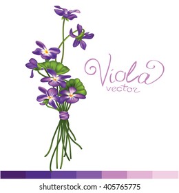 Viola flowers bouquet in vintage style. It can be used for wallpaper, web page, fabric, paper, postcards, T-shirts print, labels, badges, stickers, vector illustration.