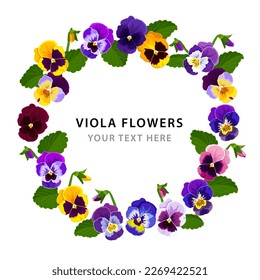 Viola flowers. Frame for flowers. Floral template for your spring postcard design. Vector image on a white background.