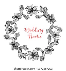 viola flowers illustration frame