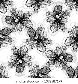 viola flowers illustration pattern vector