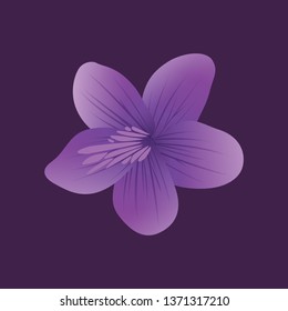 Viola Mandshurica, Violet Flower, Purple Flower Icon, Floral Bouquet, IU Flower, Floral Vector, Beautiful Purple Flower Vector Illustration 
