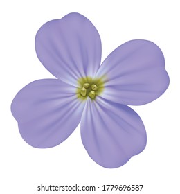 Viola Odorata, Sweet Violet, English Violet, Common Violet, Or Garden Violet Vector Blooming Blue Flower Isolated.