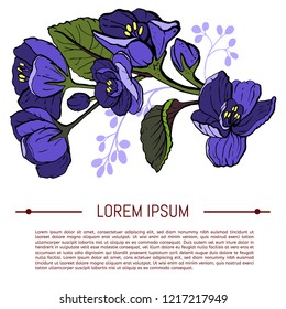 Viola odorata. Sweet violets on white background - hand drawn vector illustration in hand drawn style. With space for text. Design greeting card and invitation of the wedding.