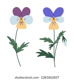 Viola or violet flowers, cartoon style. Trendy modern vector illustration isolated on white background, hand drawn, flat design.