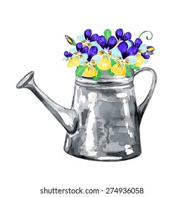 Viola in a watering can. Watercolor vector illustration. Isolated design elements.