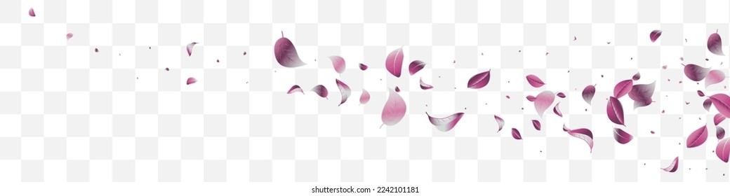 Violaceous Foliage Wind Vector White Transparent Panoramic Background Design. Fresh Leaves Illustration. Violet Leaf Motion Backdrop. Iris Tree Concept.