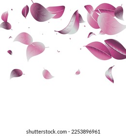 Violaceous Leaf Herbal Vector White Background Border. Motion Solar Template. Lilac Foliage Fly Poster. Leaves Spring Illustration.