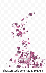 Violaceous Solar Fresh Vector White Transparent Background Branch. Spring Foliage Brochure. Lilac Leaf Nature Plant. Leaves Organic Design.