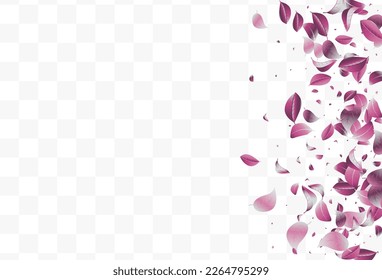 Violaceous Solar Swirl Vector White Transparent Background Wallpaper. Wind Foliage Design. Forest Leaf Forest Banner. Leaves Flying Backdrop.