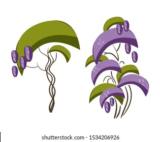 violet acacia vector cartoon tree set design elements California