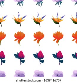 Violet Anemone. Orange Strelitzia. Red Amaryllis. Red Vriesea. Vector illustration. Seamless background pattern. Floral botanical flower. Wild leaf wildflower isolated. Exotic tropical hawaiian.