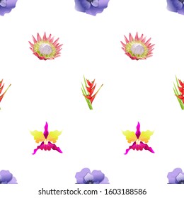 Violet Anemone. Red Heliconia Bihai. Pink Protea. Pink Orchid. Vector illustration. Seamless background pattern. Floral botanical flower. Wild leaf wildflower isolated. Exotic tropical hawaiian.
