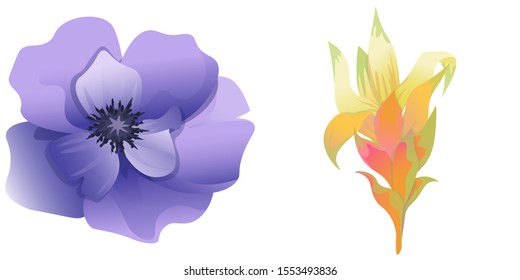 Violet Anemone. Yellow Guzmania. Vector illustration. Isolated illustration element. Floral botanical flower. Wild leaf wildflower isolated. Exotic tropical hawaiian jungle.