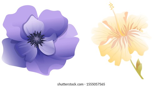 Violet Anemone. Yellow hibiscus. Vector illustration. Isolated illustration element. Floral botanical flower. Wild leaf wildflower isolated. Exotic tropical hawaiian jungle.