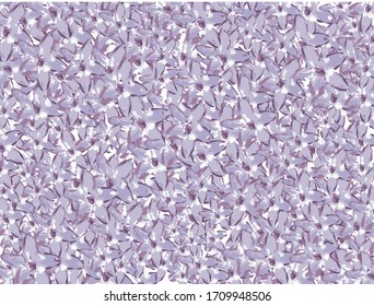 Violet background made of small lilac flowers. Vector Illustration. 