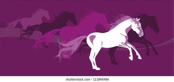 violet background with wild horses