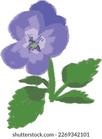 violet of birth flower in February