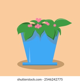 violet in a blue pot indoor flower