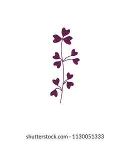 Violet branch of leaves isolated on white background - seasonal autumn natural element for floral design in flat style. Decorative fall plant part in vector illustration.