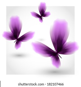 Violet butterflies fluttering air