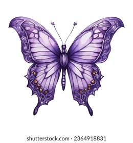 Violet butterflies watecolor illustration isolated on white background