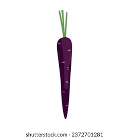 Violet carrot on white background