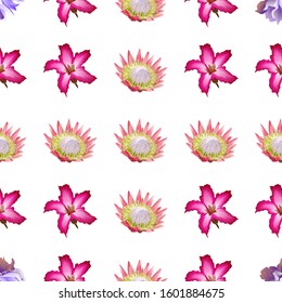 Violet Clematis. Pink Adenium. Pink Protea. Vector illustration. Seamless background pattern. Floral botanical flower. Wild leaf wildflower isolated. Exotic tropical hawaiian jungle. Fabric.