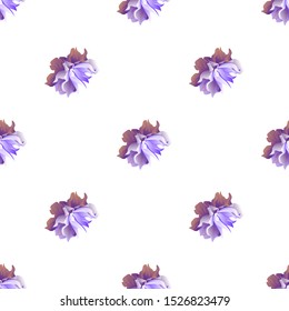 Violet Clematis. Vector illustration. Seamless background pattern. Floral botanical flower. Wild leaf wildflower isolated. Exotic tropical hawaiian jungle. Fabric wallpaper print texture.