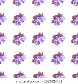 Violet Clematis. Vector illustration. Seamless background pattern. Floral botanical flower. Wild leaf wildflower isolated. Exotic tropical hawaiian jungle. Fabric wallpaper print texture.