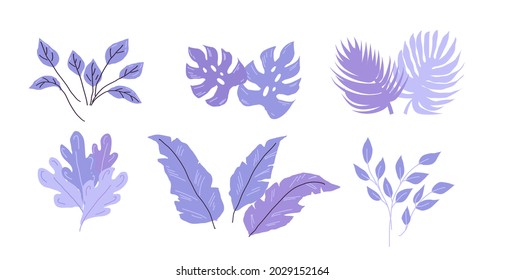 Violet color leaves plants hand drawn illustration set 