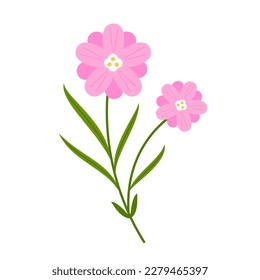 Violet crocus flowers in pot with leaves isolated on white. Cartoon first spring flower used for magazine, poster.