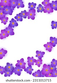 Violet crocus spring flowers vector illustration. Saffron flowers purple crocus blossom spring vector. Summer background saffron floral illustration. Easter religious holiday banner backdrop.