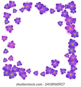 Violet crocus spring flowers vector illustration. Saffron flowers purple crocus blossom spring vector. Summer background saffron floral illustration. Easter religious holiday banner backdrop.