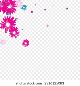 Violet Daisy Background Transparent Vector. Garden Flowering Period Design. Purple Chamomile Romantic. Attractive Card. Flourish Color Gerbera.