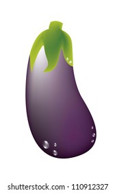 violet eggplant isolated over white background. vector illustration