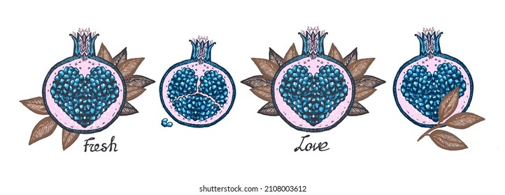 Violet fairy pomegranates graphic vector hand drawn sketches  pomegranates symbols and heart shaped seeds inside  vintage style prints collection