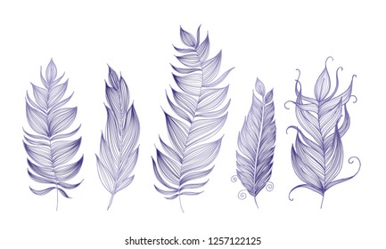 violet fancy feathers. doodle inking, thin lines. decorative elements