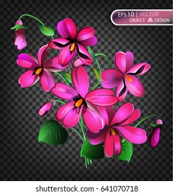 Violet Floral background is isolated on a transparent background. Vector illustration
