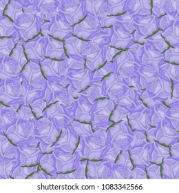 Violet floral background with roses