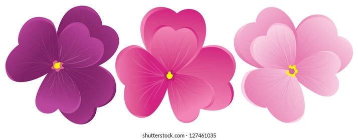 Violet flower