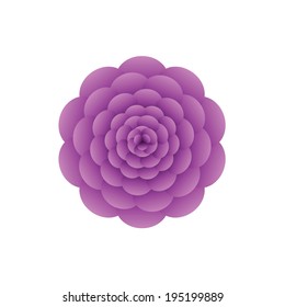 Violet flower