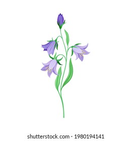 Violet Flower or Blossom on Leafy Stalk or Stem Vector Illustration