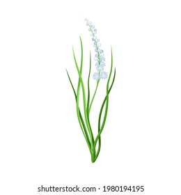 Violet Flower or Blossom on Leafy Stalk or Stem Vector Illustration