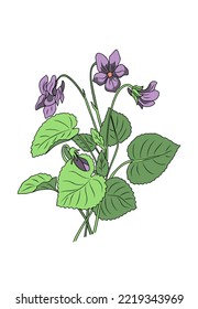 Ilustración vectorial de color flor violeta. Arte mural moderno y minimalista. Línea trenzada a mano y dibujo a color. Flor de febrero de mes de nacimiento para tatuajes, logotipo, arte de pared, diseño de empaque. Aislado.