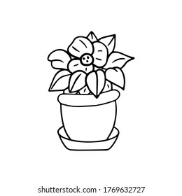 Violetblumendoodle-Symbol einzeln