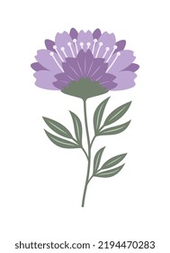 Violet flower with green leaves. Cartoon colorful vector illustration. 